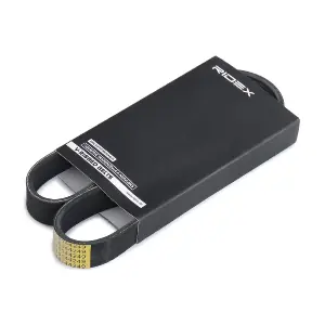 305P0484 RIDEX