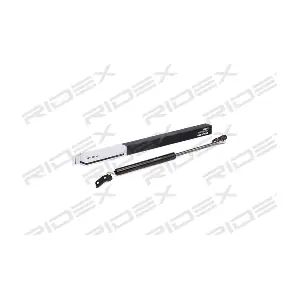 219G0863 RIDEX