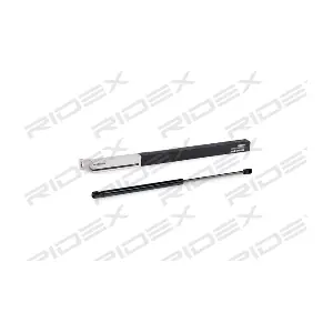 RIDEX 219G0590