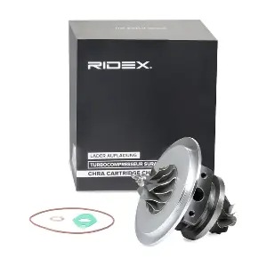 4973C0051 RIDEX