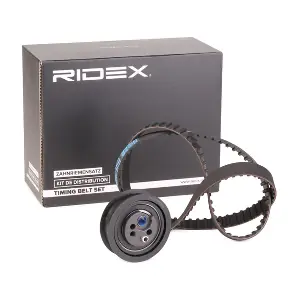 307T0113 RIDEX