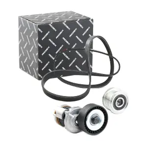 RIDEX 542R0249