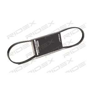 305P0403 RIDEX