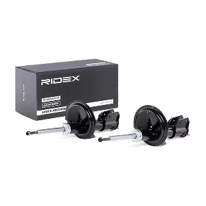 854S1659 RIDEX