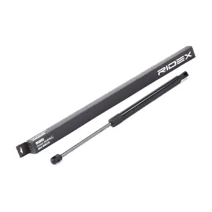 219G0848 RIDEX