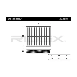 RIDEX 8A0029