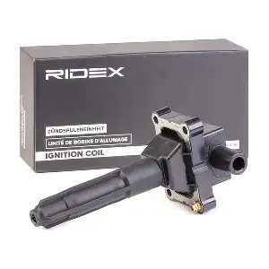 689C0362 RIDEX