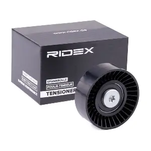 312D0114 RIDEX
