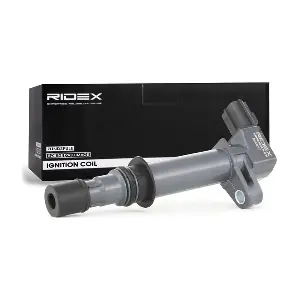 689C0047 RIDEX