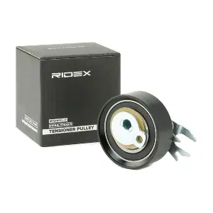 RIDEX 308T0189