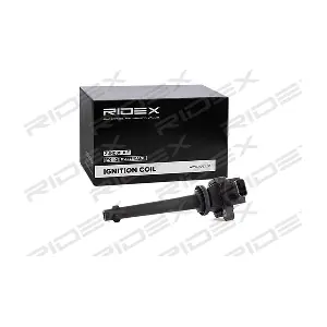 689C0293 RIDEX