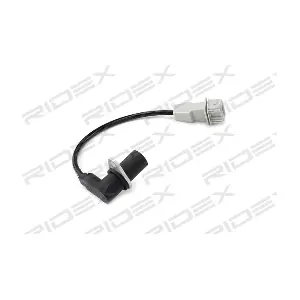 RIDEX 833C0203