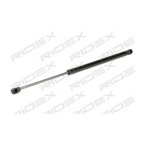 219G0944 RIDEX