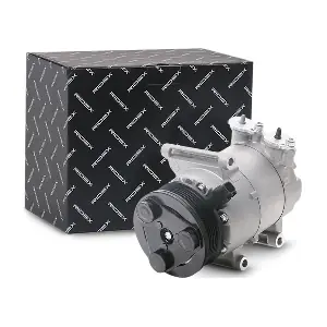 RIDEX 447K0198