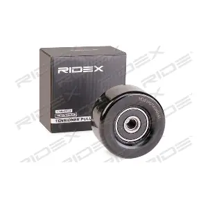 310T0283 RIDEX
