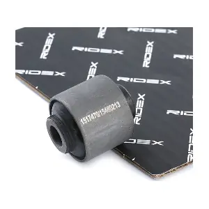 251T0648 RIDEX