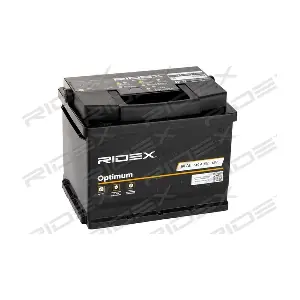 RIDEX 1S0003