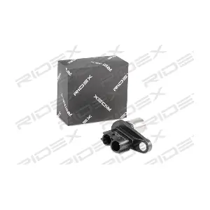 833C0113 RIDEX