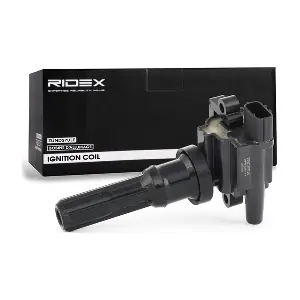 689C0049 RIDEX