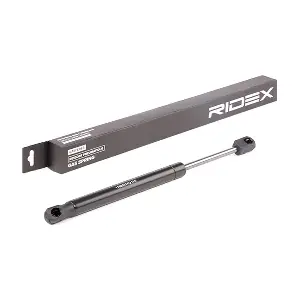 219G0696 RIDEX