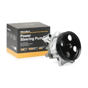 12H0293 RIDEX