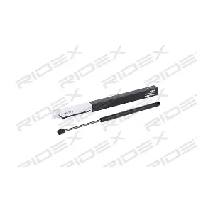 2454G0012 RIDEX