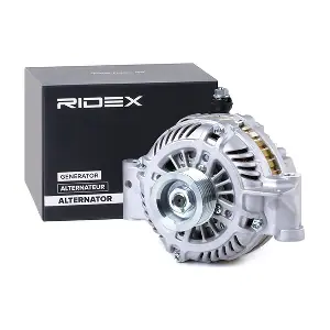 4G0313 RIDEX