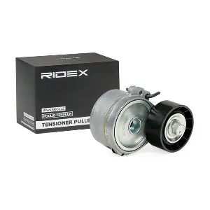 RIDEX 310T0039