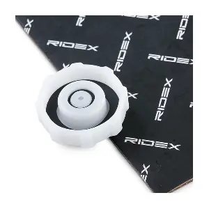 RIDEX 56V0021