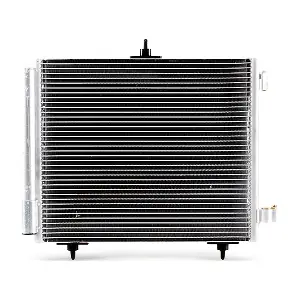 RIDEX 448C0036