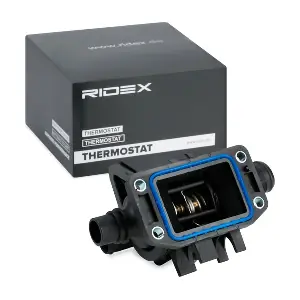 RIDEX 316T0057
