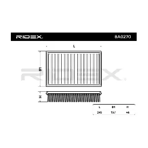 RIDEX 8A0270
