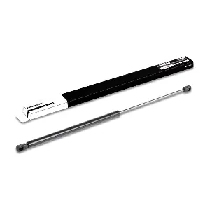 219G0073 RIDEX
