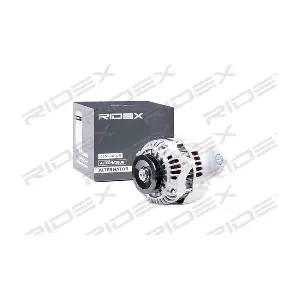 4G0253 RIDEX