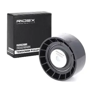 RIDEX 310T0010