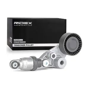 541V0029 RIDEX