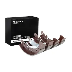 RIDEX 70B0051