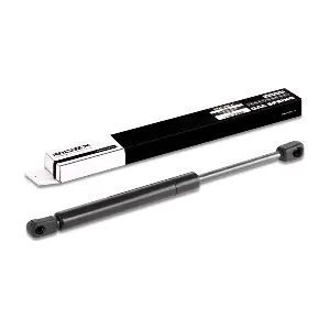 219G0303 RIDEX