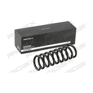188C0443 RIDEX