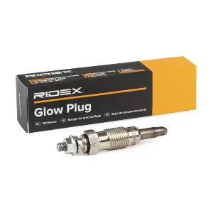 RIDEX 243G0060