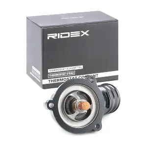 RIDEX 316T0183