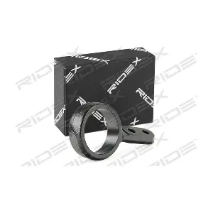 251T0176 RIDEX