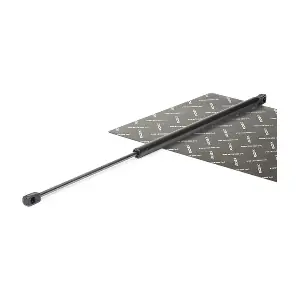 219G0130 RIDEX