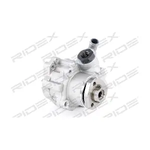 RIDEX 12H0024
