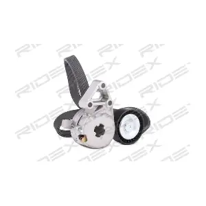 542R0178 RIDEX