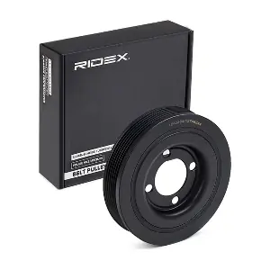 3213B0122 RIDEX