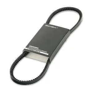 RIDEX 10C0019