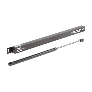 219G0269 RIDEX