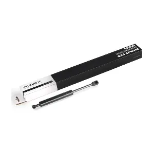 219G0131 RIDEX