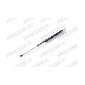 RIDEX 219G0469